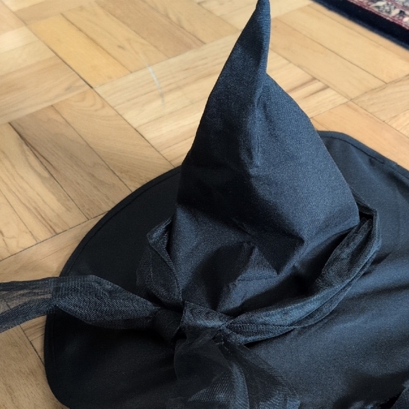 Black Wicked Witch Costume with Hat and Veil - Wizard Of Oz - Picture 4 of 9